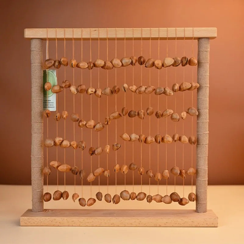 Shell Fruit Wind Bells-ToShay.org
