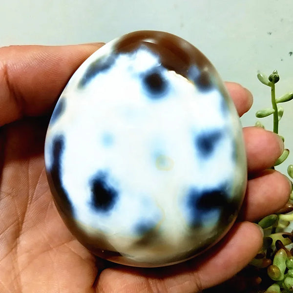 Mixed Lace Sardonyx Agate-ToShay.org