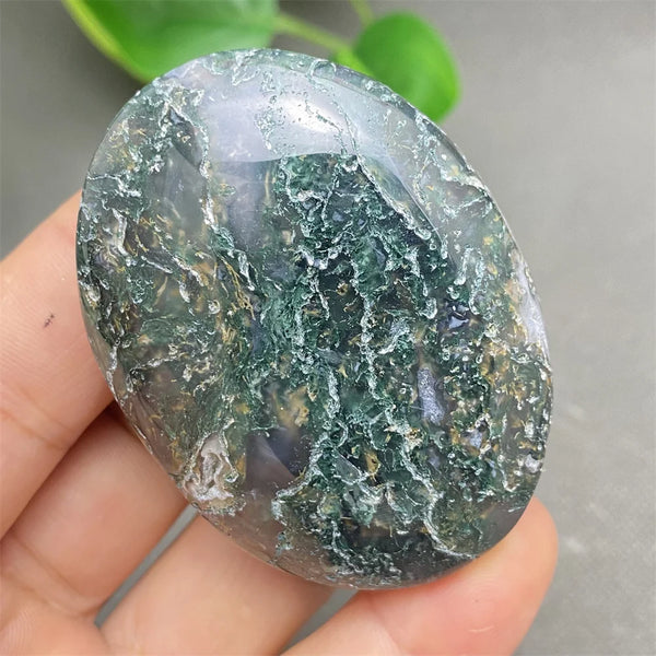 Green Aquatic Agate-ToShay.org