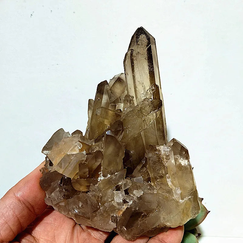 Smoky Quartz Crystal Cluster-ToShay.org