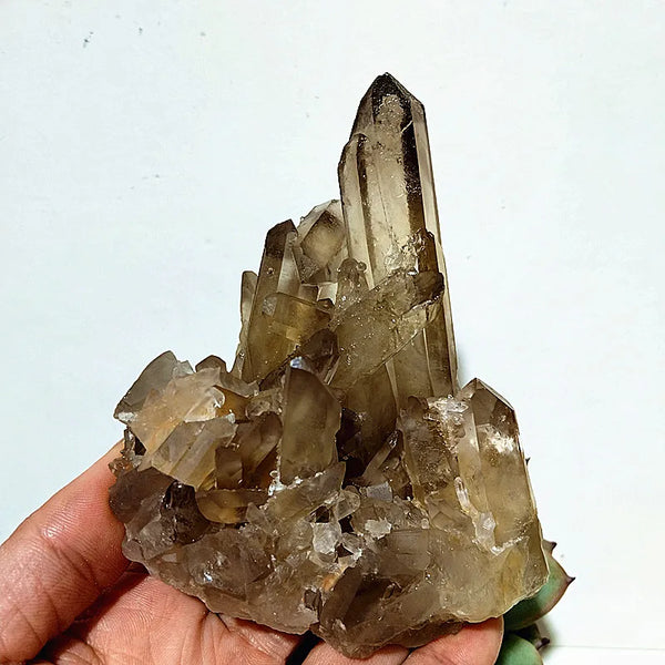 Smoky Quartz Crystal Cluster-ToShay.org