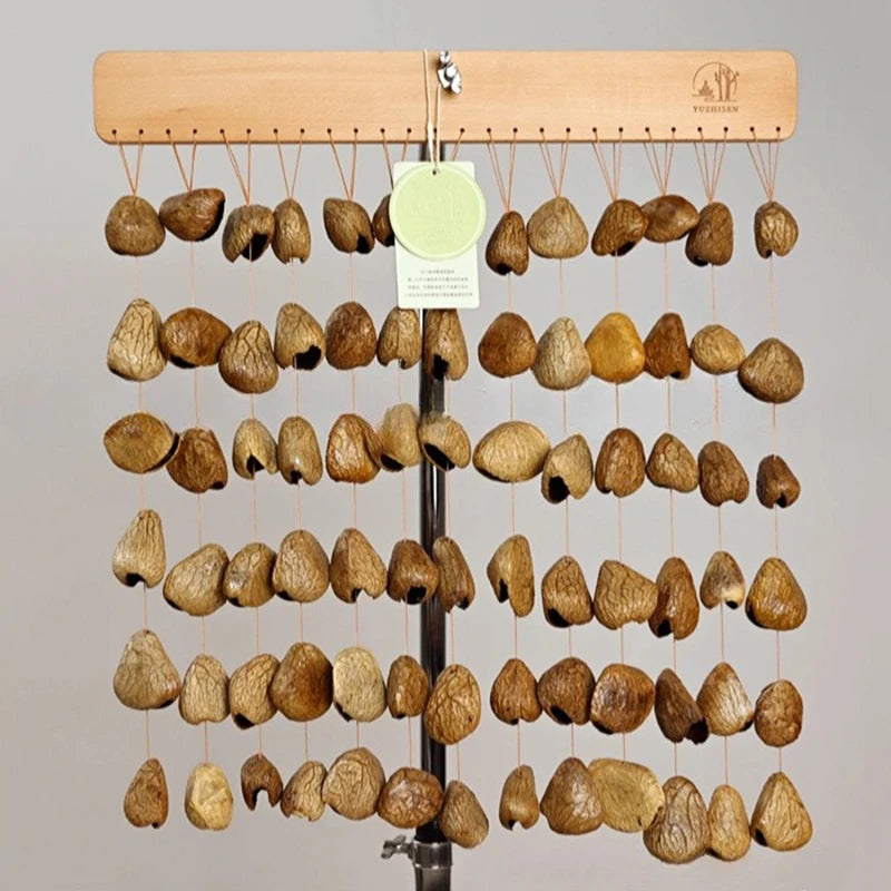 Shell Nut Wind Chimes-ToShay.org