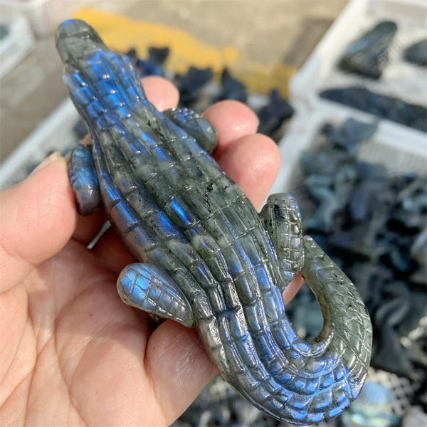 Blue Labradorite Crocodile-ToShay.org