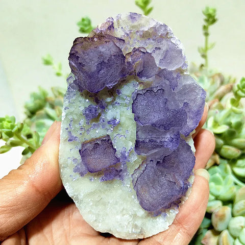 Purple Fluorite Crystal Clusters-ToShay.org