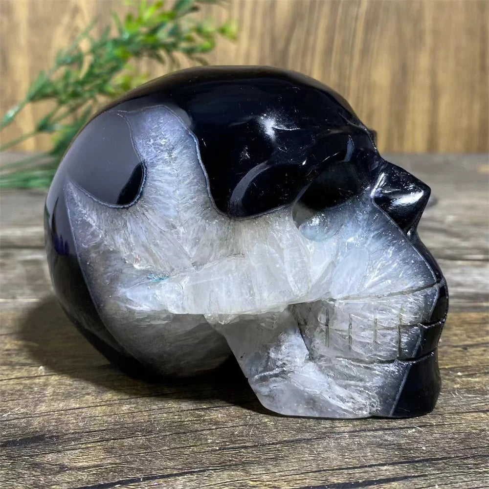 Black Agate Skull-ToShay.org