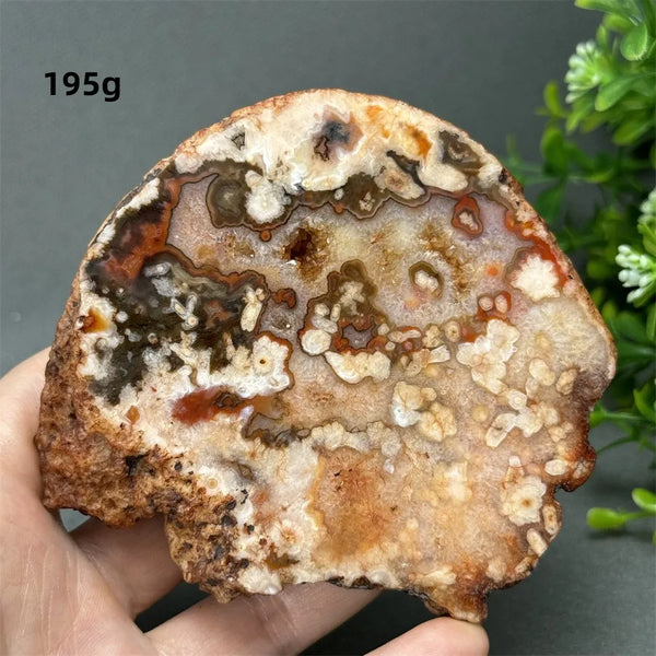 Red Cherry Blossom Agate-ToShay.org