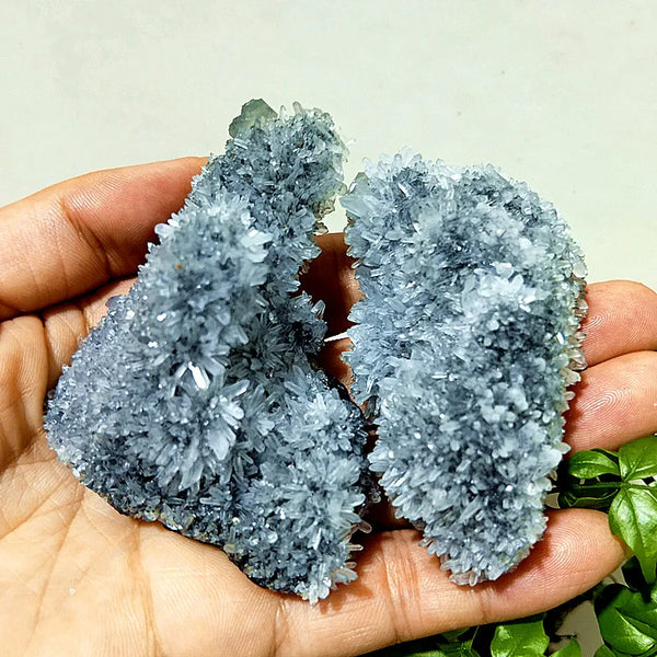 Purple Chrysanthemum Fluorite Crystal-ToShay.org