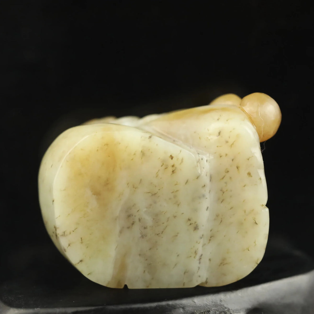 Yellow Jade Snail-ToShay.org