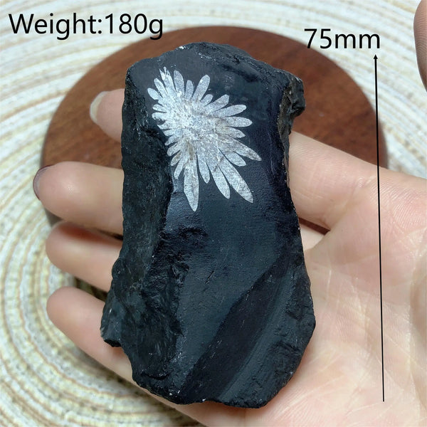 Black Chrysanthemum Raw Stone-ToShay.org