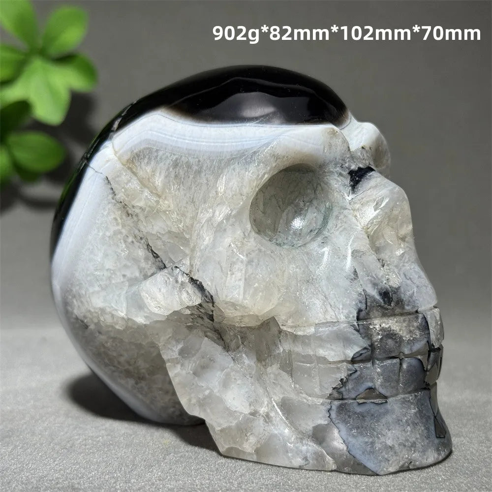 Black Agate Skull-ToShay.org