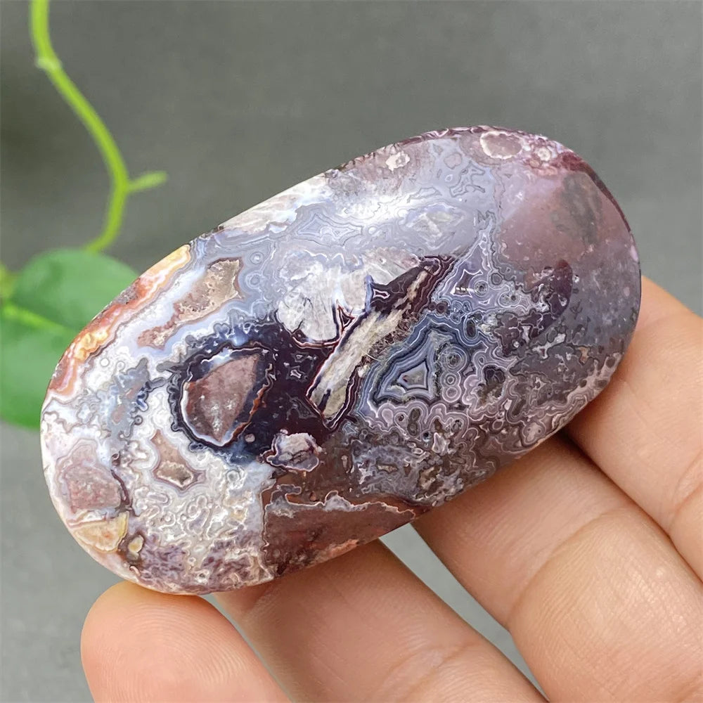Red Lace Crazy Agate-ToShay.org