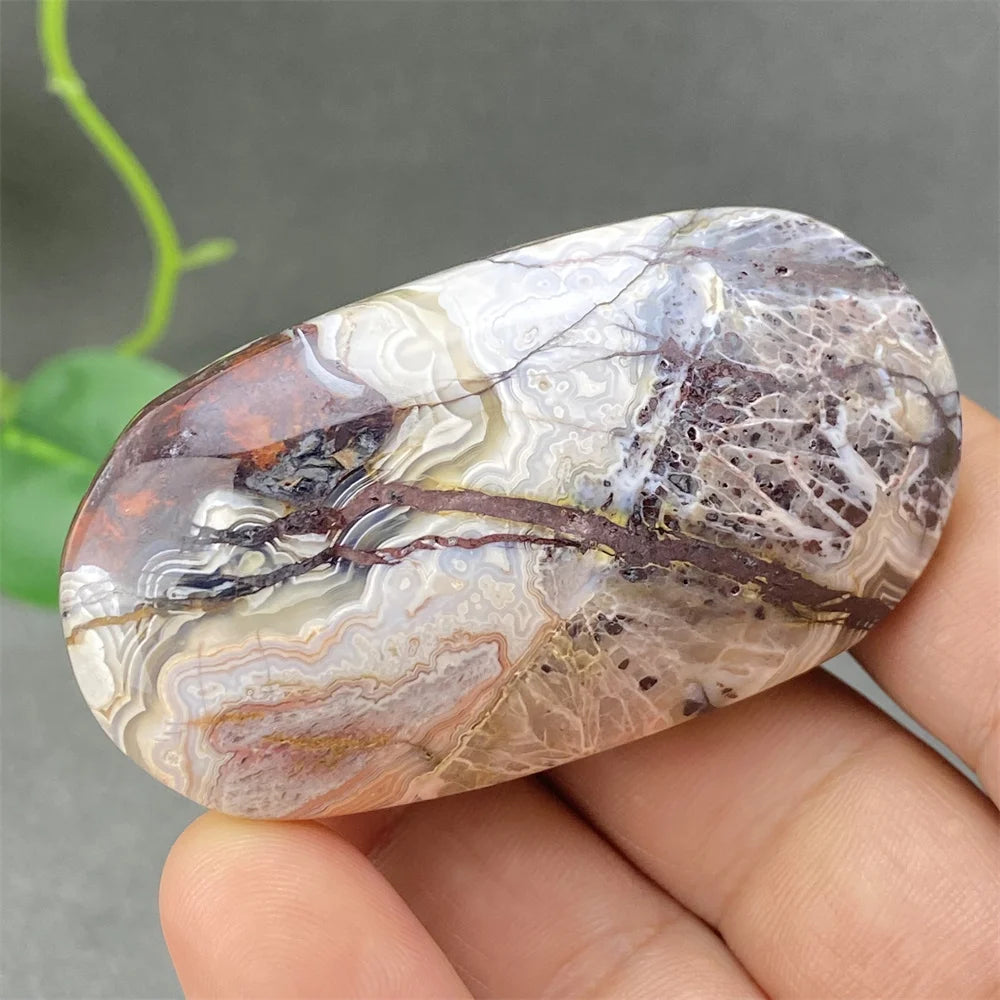 Red Lace Crazy Agate-ToShay.org