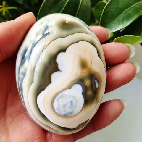 Mixed Lace Sardonyx Agate-ToShay.org