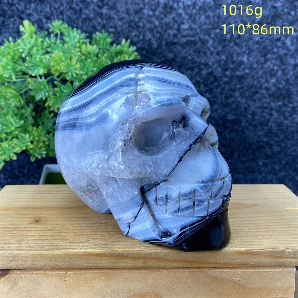 Black Agate Skull-ToShay.org