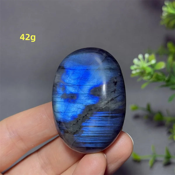 Blue Labrador Palm Stone-ToShay.org