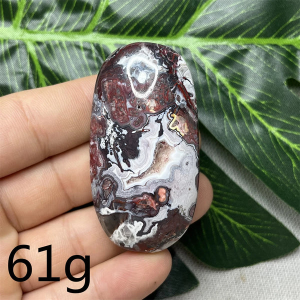 Red Crazy Agate Palm Stone-ToShay.org