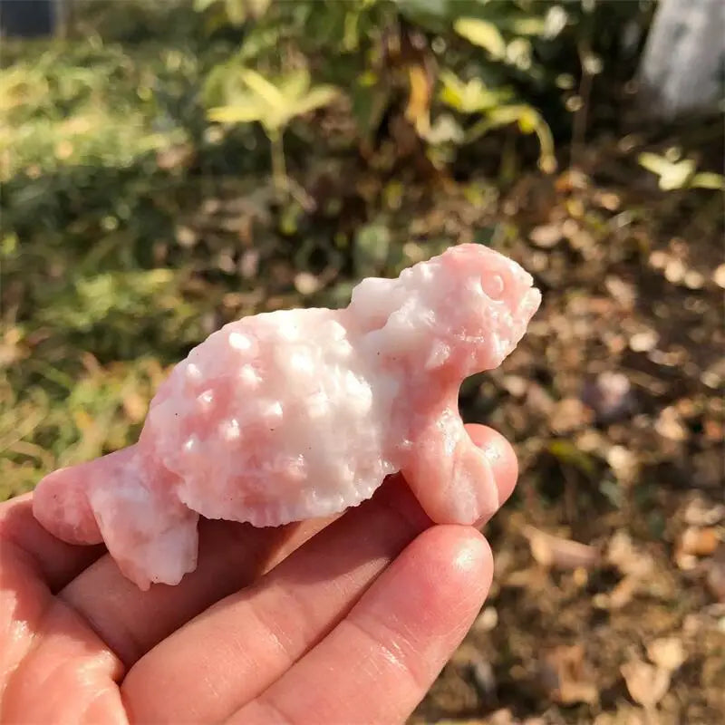 Mixed Crystal Lizards-ToShay.org