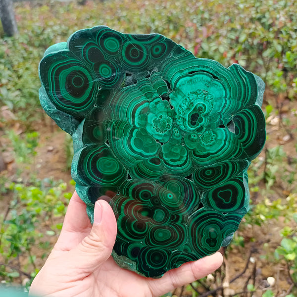 Green Malachite Slice-ToShay.org