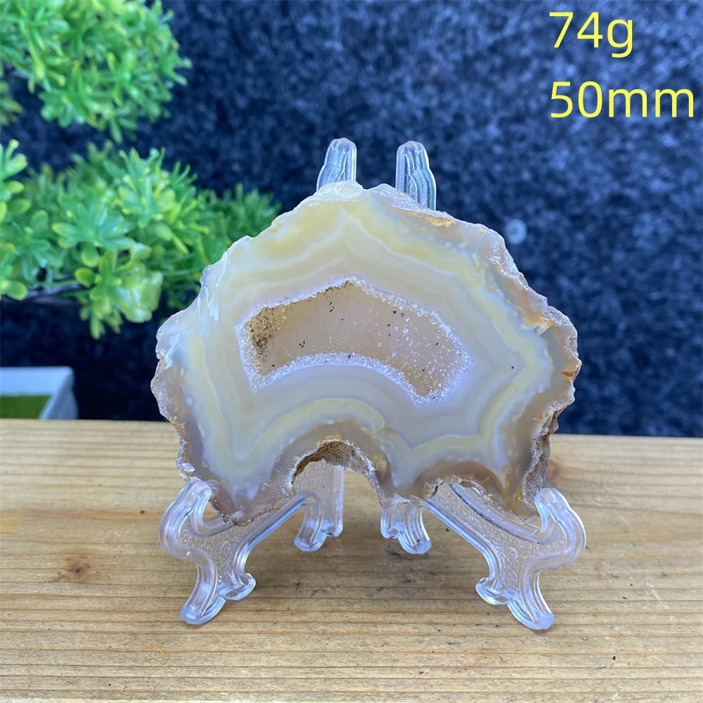 White Agate Geode Slices-ToShay.org