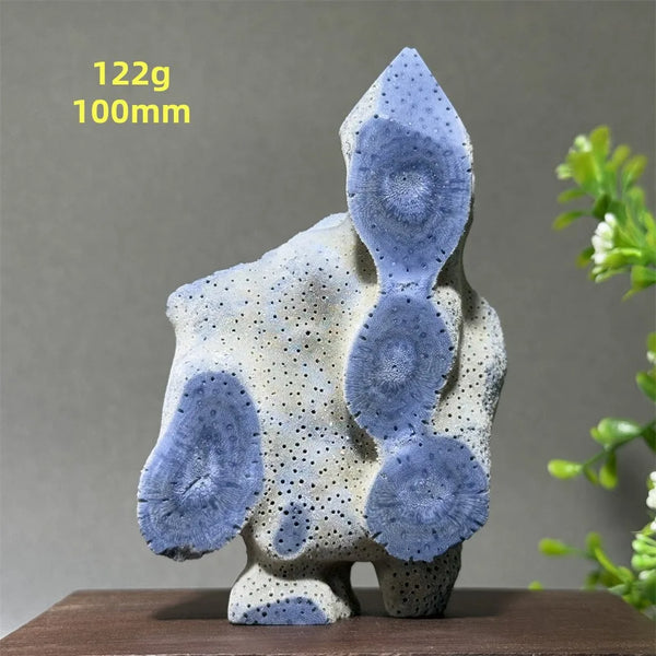 Blue Coral Crystal-ToShay.org