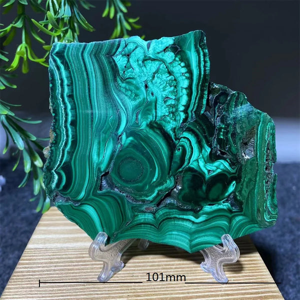 Green Malachite Slice-ToShay.org