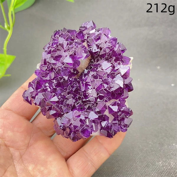 Purple Amethyst Crystal-ToShay.org