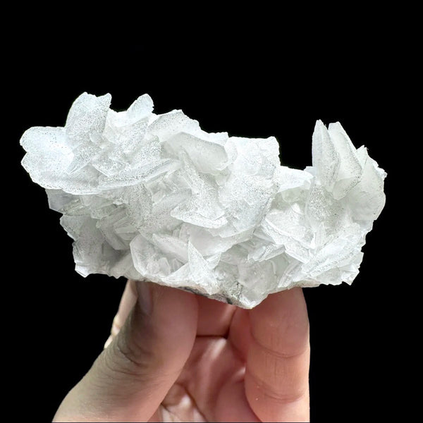 White Calcite Rose-ToShay.org