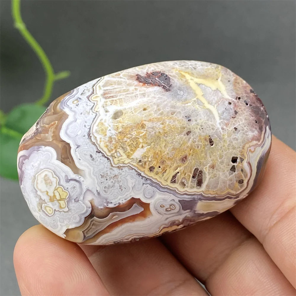 Red Lace Crazy Agate-ToShay.org
