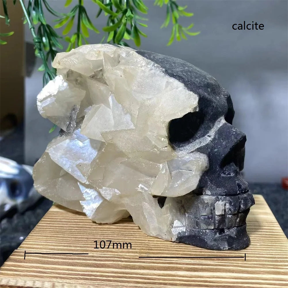 Mixed Crystal Skulls-ToShay.org