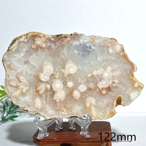 Pink Amethyst Flower Agate-ToShay.org