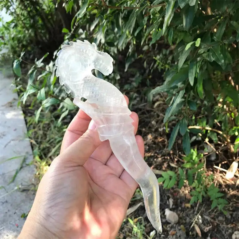 Clear Quartz Seahorse-ToShay.org