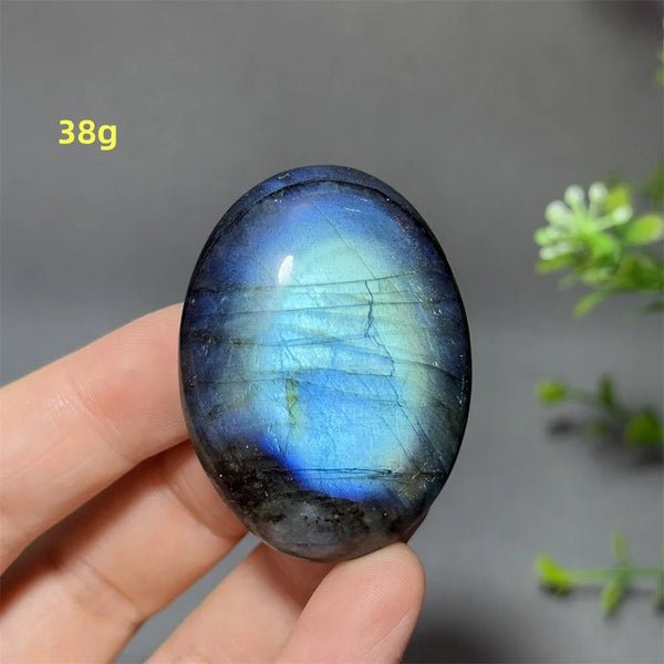 Blue Labrador Palm Stone-ToShay.org