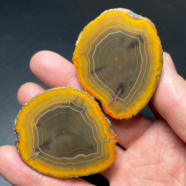 Yellow Sardonyx Agate Egg-ToShay.org