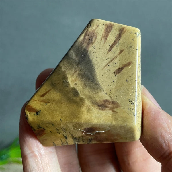 Black Rutilated Hair Raw Quartz-ToShay.org