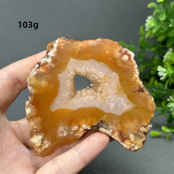 Red Cherry Blossom Agate-ToShay.org