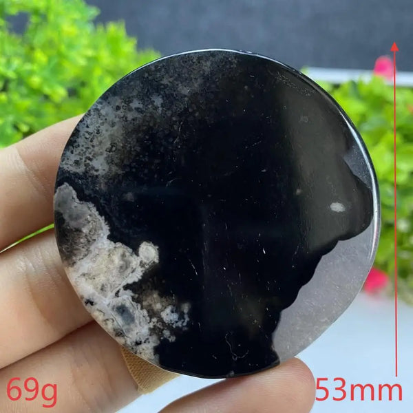 Black Agate Slice-ToShay.org