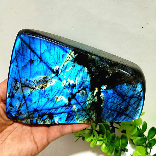 Blue Labradorite Crystal-ToShay.org