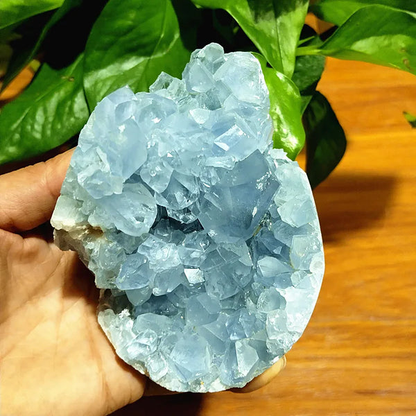 Blue Celestine Geode Crystal-ToShay.org