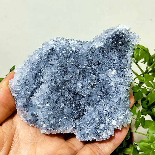 Purple Chrysanthemum Fluorite Crystal-ToShay.org