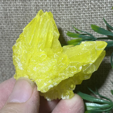 Yellow Sulphur Quartz-ToShay.org