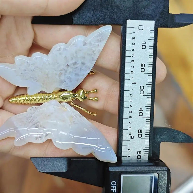 Mixed Agate Butterfly-ToShay.org