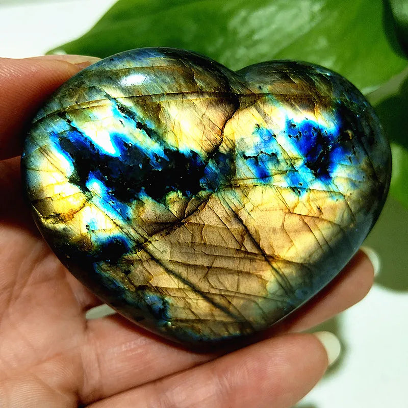 Blue Labrador Stone Heart-ToShay.org