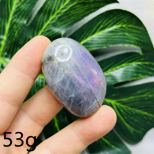 Purple Labradorite Palm Stone-ToShay.org