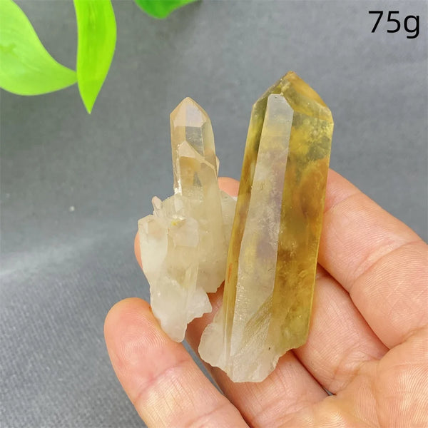 Yellow Black Smoky Quartz-ToShay.org