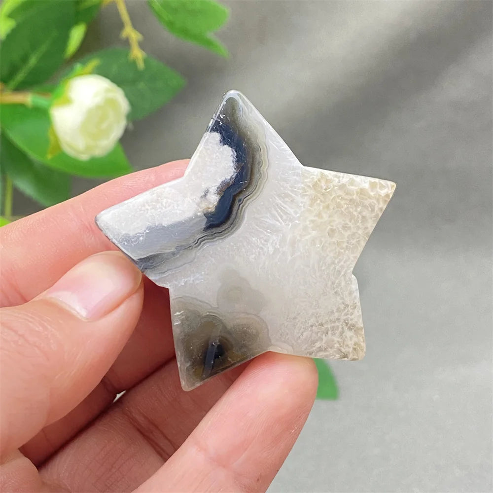 Black Cherry Blossom Agate-ToShay.org
