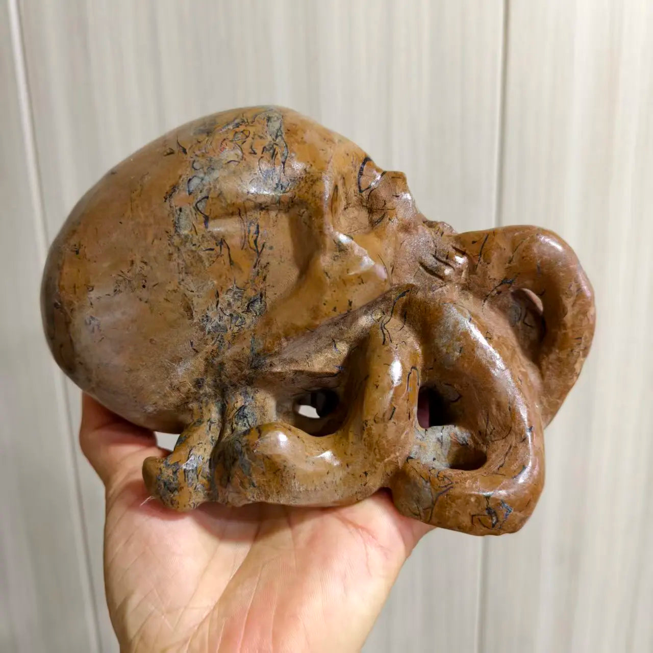 Brown Jasper Octopus Skull-ToShay.org