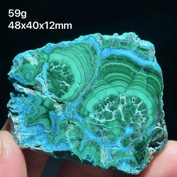 Green Chrysocolla Malachite Slice-ToShay.org