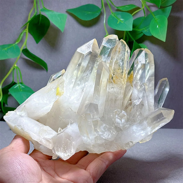 Clear Quartz Crystal Cluster-ToShay.org