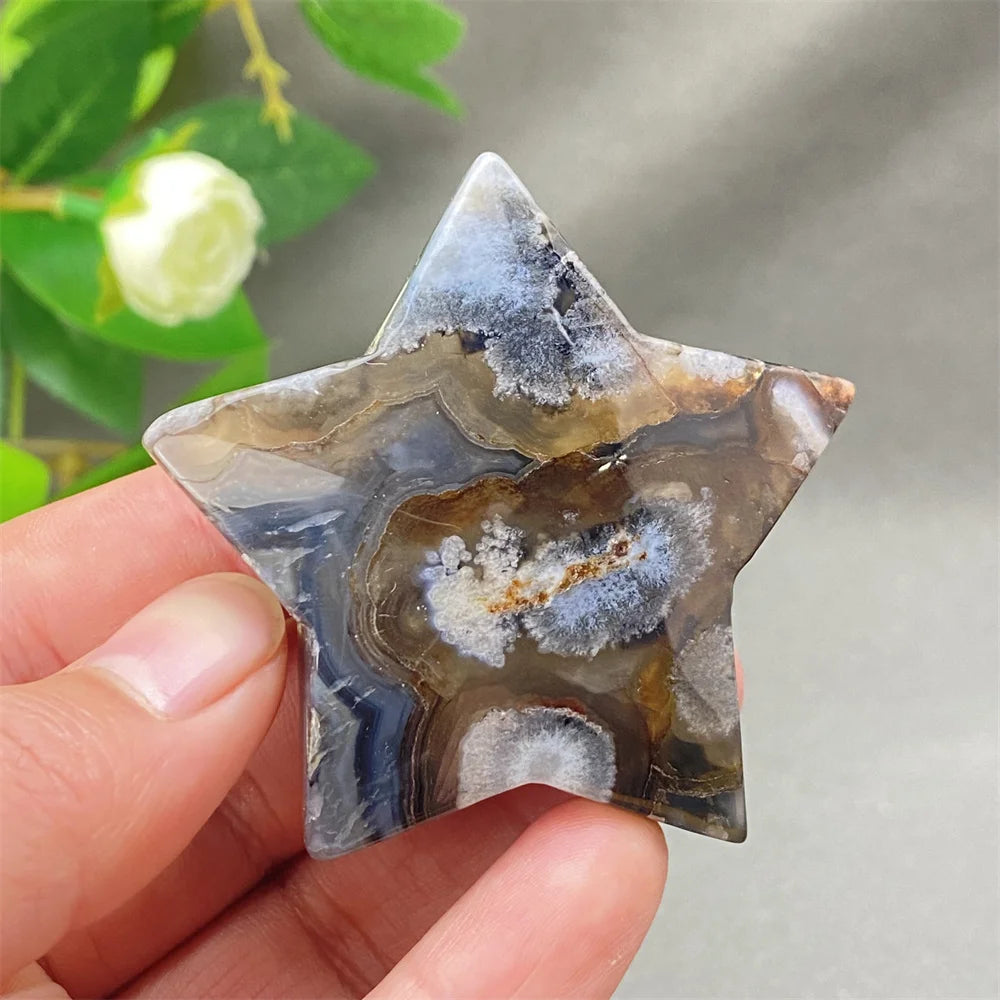 Black Cherry Blossom Agate-ToShay.org