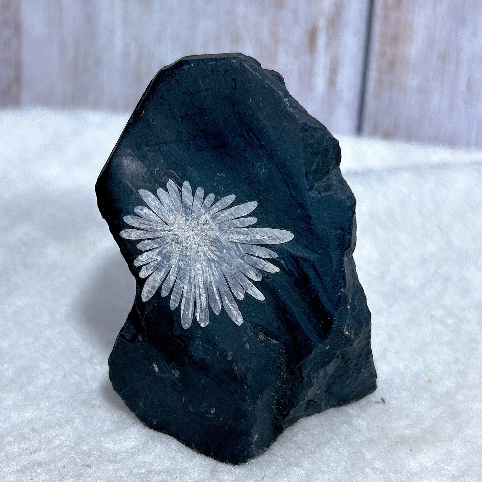 Black Chrysanthemum Raw Stone-ToShay.org